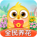 lucky bird casino截图