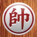 big win slots casino截图